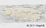 Shaded Relief Panoramic Map of Betafo, desaturated