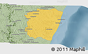 Savanna Style Panoramic Map of Farafangana