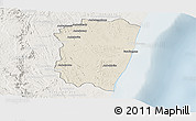 Shaded Relief Panoramic Map of Farafangana, lighten