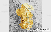 Physical 3D Map of Iakora, desaturated