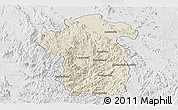 Shaded Relief Panoramic Map of Iakora, lighten, desaturated