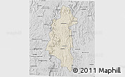 Shaded Relief 3D Map of Ifanadiana, desaturated