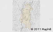 Shaded Relief 3D Map of Ifanadiana, lighten, desaturated