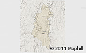 Shaded Relief 3D Map of Ifanadiana, lighten