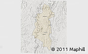 Shaded Relief 3D Map of Ifanadiana, lighten, semi-desaturated
