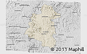 Shaded Relief Panoramic Map of Ifanadiana, desaturated