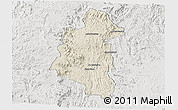 Shaded Relief Panoramic Map of Ifanadiana, lighten, semi-desaturated