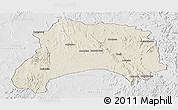 Shaded Relief Panoramic Map of Ihosy, lighten, desaturated