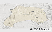 Shaded Relief Panoramic Map of Ihosy, lighten, semi-desaturated