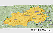 Savanna Style Panoramic Map of Ikalamavony