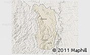 Shaded Relief 3D Map of Midongy-Sud, lighten