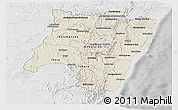 Shaded Relief Panoramic Map of Fianarantsoa, lighten, desaturated