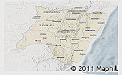 Shaded Relief Panoramic Map of Fianarantsoa, lighten, semi-desaturated