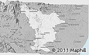 Gray Panoramic Map of Vondrozo