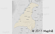 Shaded Relief 3D Map of Morondava, desaturated