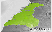 Physical Panoramic Map of Morondava, desaturated
