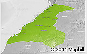 Physical Panoramic Map of Morondava, lighten, desaturated