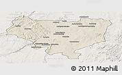 Shaded Relief Panoramic Map of Sakaraha, lighten