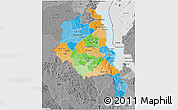 Political 3D Map of Central, desaturated