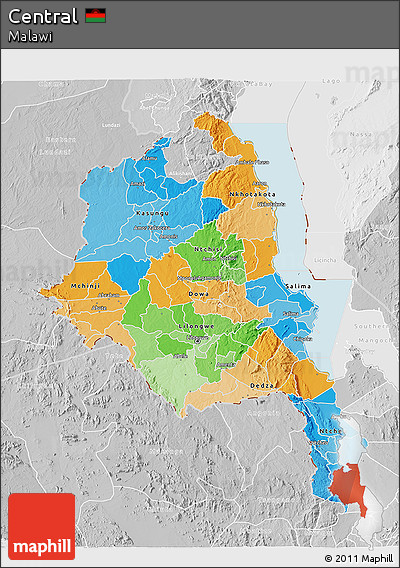 Political 3D Map of Central, lighten, desaturated