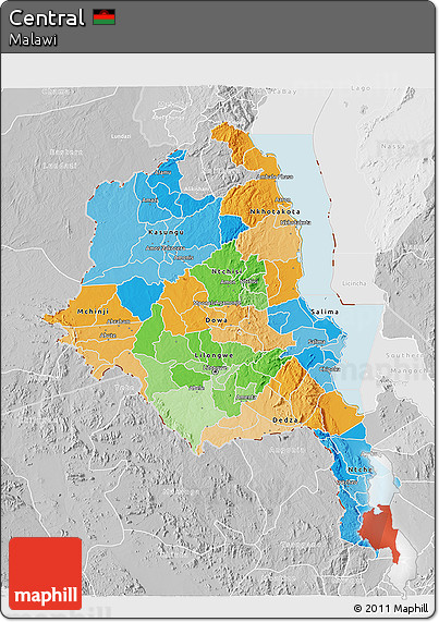 Political 3D Map of Central, lighten, desaturated