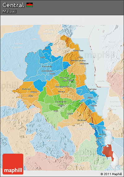 Political 3D Map of Central, lighten
