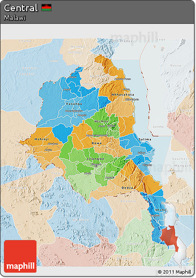 Political 3D Map of Central, lighten