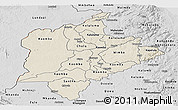 Shaded Relief Panoramic Map of Kasungu, desaturated