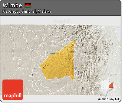 Physical 3D Map of Wimbe, lighten, semi-desaturated