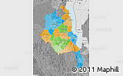 Political Map of Central, desaturated
