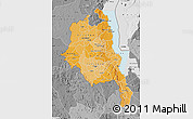 Political Shades Map of Central, desaturated