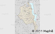 Shaded Relief Map of Central, desaturated