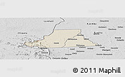 Shaded Relief Panoramic Map of Mkanda, desaturated
