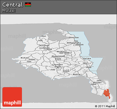 Gray Panoramic Map of Central, single color outside