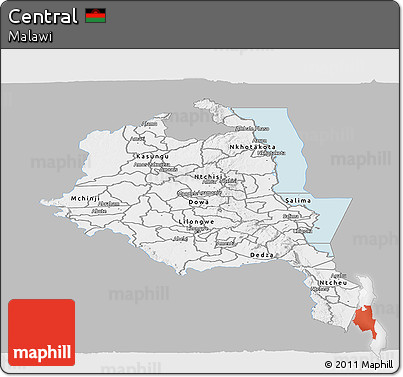 Gray Panoramic Map of Central, single color outside