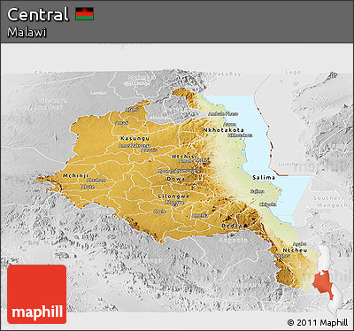 Physical Panoramic Map of Central, lighten, desaturated