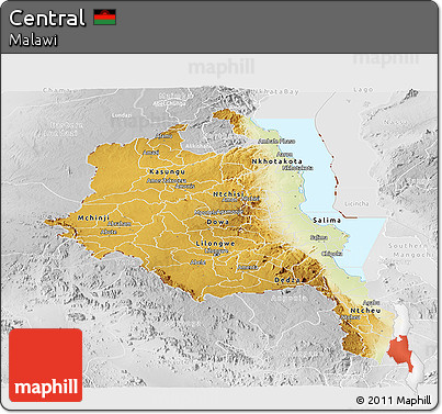 Physical Panoramic Map of Central, lighten, desaturated