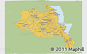Savanna Style Panoramic Map of Central, single color outside