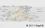 Shaded Relief Panoramic Map of Mabulabo, desaturated