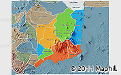 Political 3D Map of Mulanje, semi-desaturated