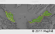 Satellite 3D Map of Malaysia, desaturated