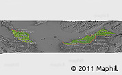 Satellite Panoramic Map of Malaysia, desaturated
