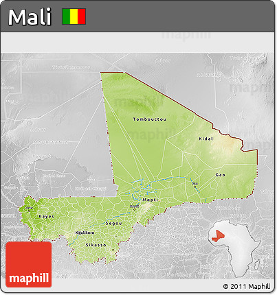 Physical 3D Map of Mali, lighten, desaturated