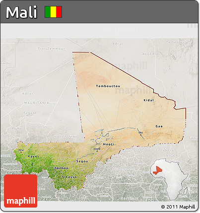 Satellite 3D Map of Mali, lighten, semi-desaturated
