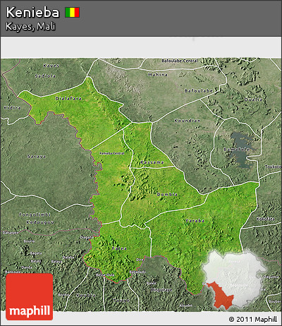 Satellite 3D Map of Kenieba, semi-desaturated