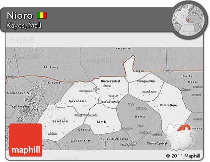 Gray 3D Map of Nioro