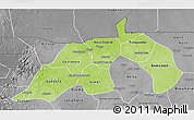 Physical 3D Map of Nioro, desaturated
