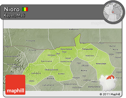Physical 3D Map of Nioro, semi-desaturated