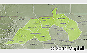 Physical 3D Map of Nioro, semi-desaturated