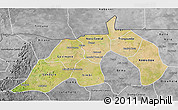 Satellite 3D Map of Nioro, desaturated